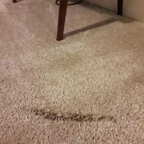 Carpet Burn Repair Campbelltown