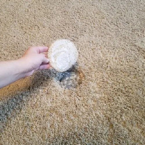 Carpet Hole Repair Campbelltown